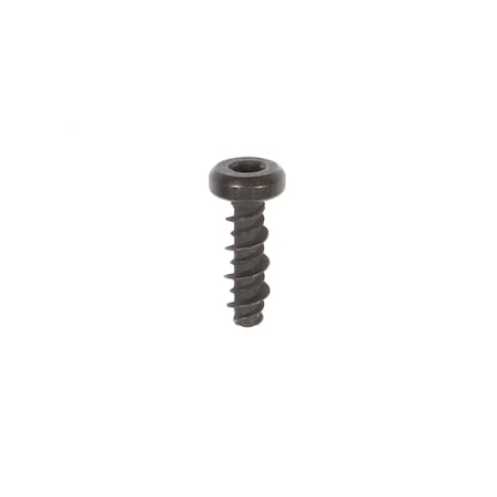 Briggs & Stratton SCREW 698304